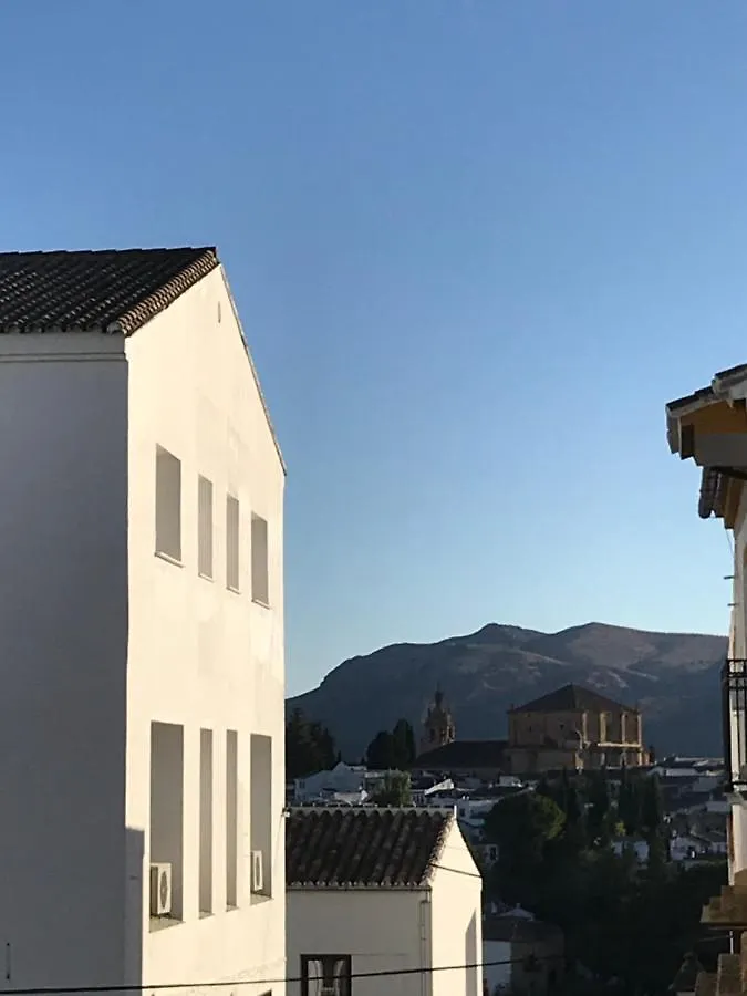 Apartamento Nuevo Con Piscina En El Centro 